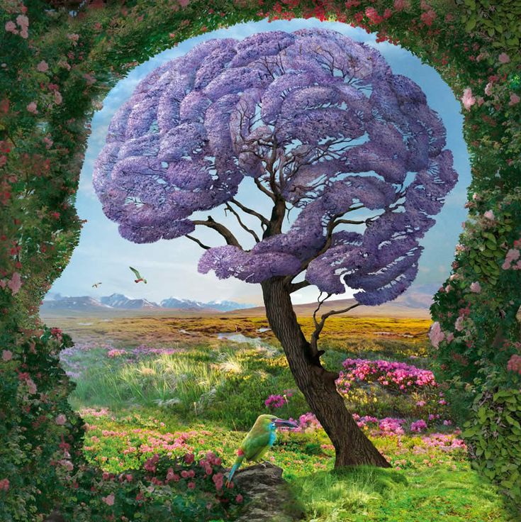 Illusion: Polish illustrator Igor Morski has envisioned this beautiful series titled “Nature.” All of the images include optical illusions, and it was very clever that he place a round edged tree as the human brain and spine. http://illusion.scene360.com/art/41625/pictures-of-your-imagination/